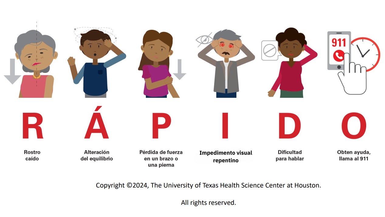 Updated-RAPIDO-March2025 (2).png